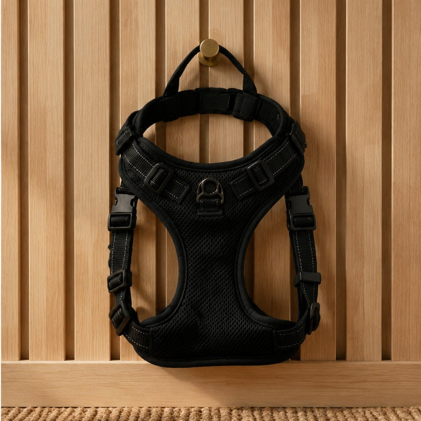 Black no-pull walking harness hanging on an oak slat wall