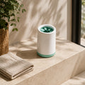 Silicone paw-cleaning cup on a stone ledge in a sunlit entryway